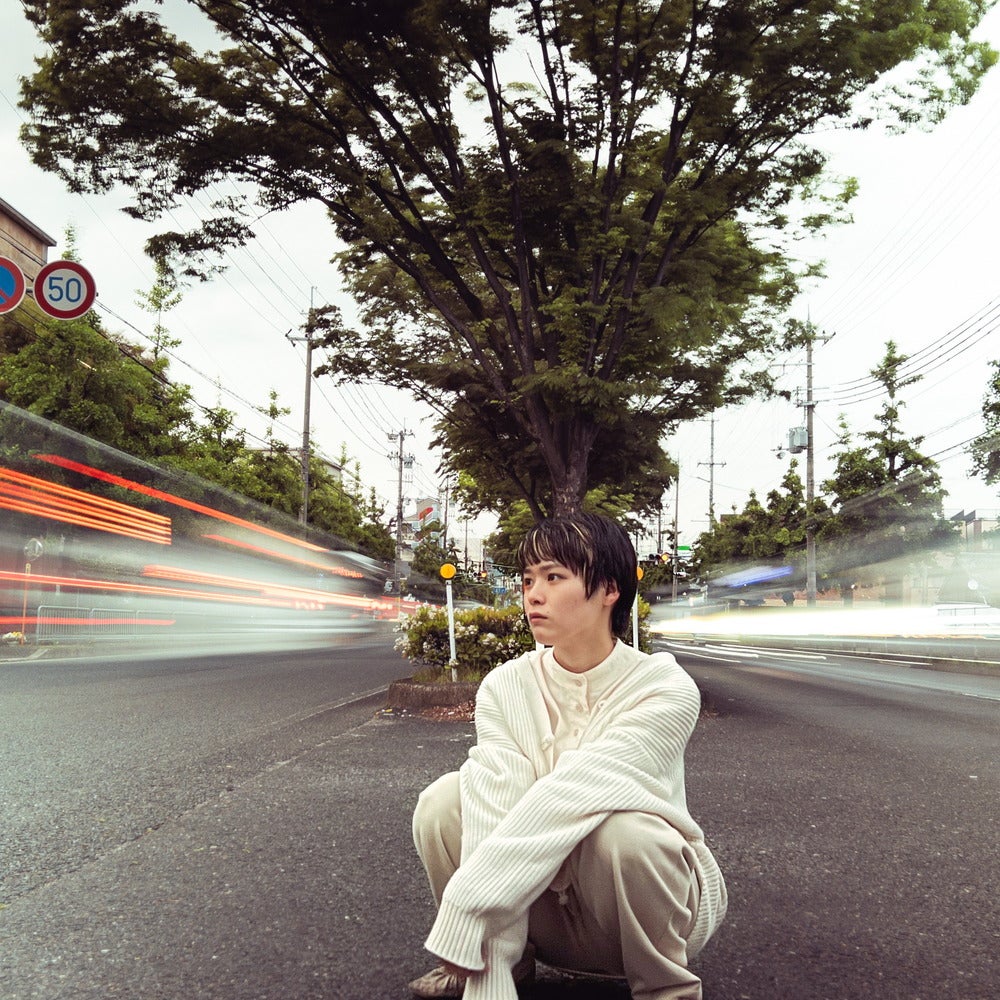 光を減らす】VND2-200_52mm （インクルーシブパッケージ） | THE emo
