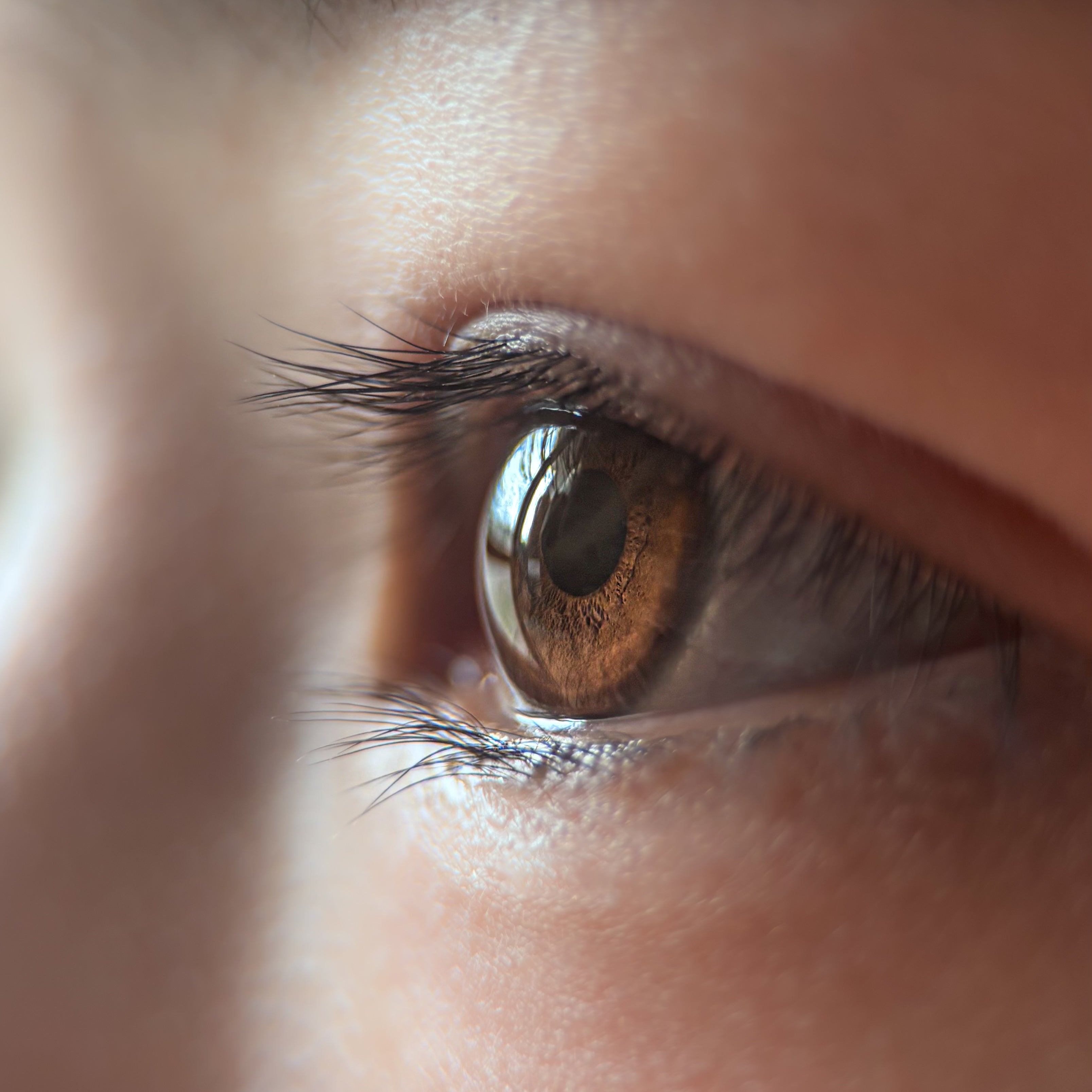 肉眼を超える_レンズ】Macro Lens_100mm | THE emo 公式オンラインストア